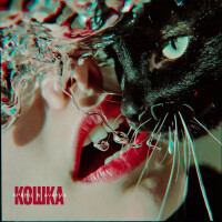 Кравц, AVAYVA – Кошка