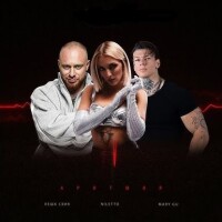 Лёша Свик, NILETTO, Mary Gu – Аритмия