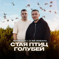 Маракеш, Третий Январь – Стая птиц голубей